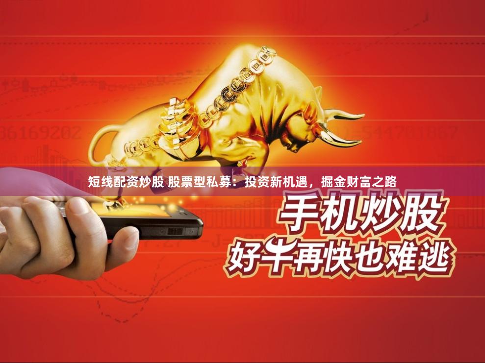 短线配资炒股 股票型私募：投资新机遇，掘金财富之路